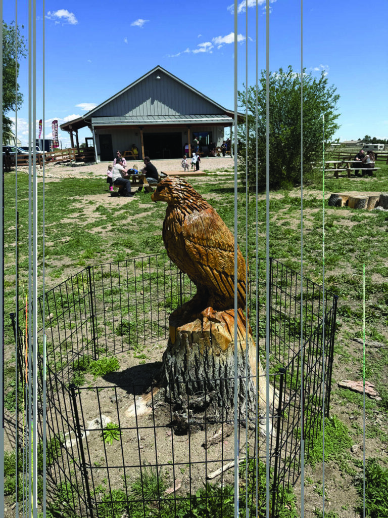A carved wooden bird statue on a tree stump is enclosed by a small wire fence, with a barn and people sitting in the background on a grassy field.