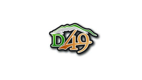 Logo with green and orange text "D49" overlaid on a stylized mountain outline, centered on a white background.