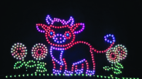 Colorful LED lights form the image of a cartoon cow standing on grass with flowers, set against a black background.
