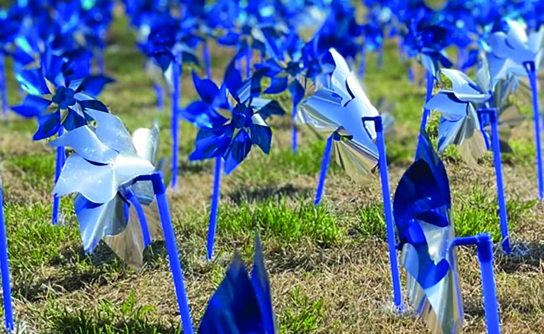 A field with many shiny blue and silver pinwheels planted in grass, some spinning and others still.