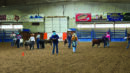 People and children with ponies or miniature horses stand in a dirt-floor indoor arena, participating in a livestock or equestrian competition.