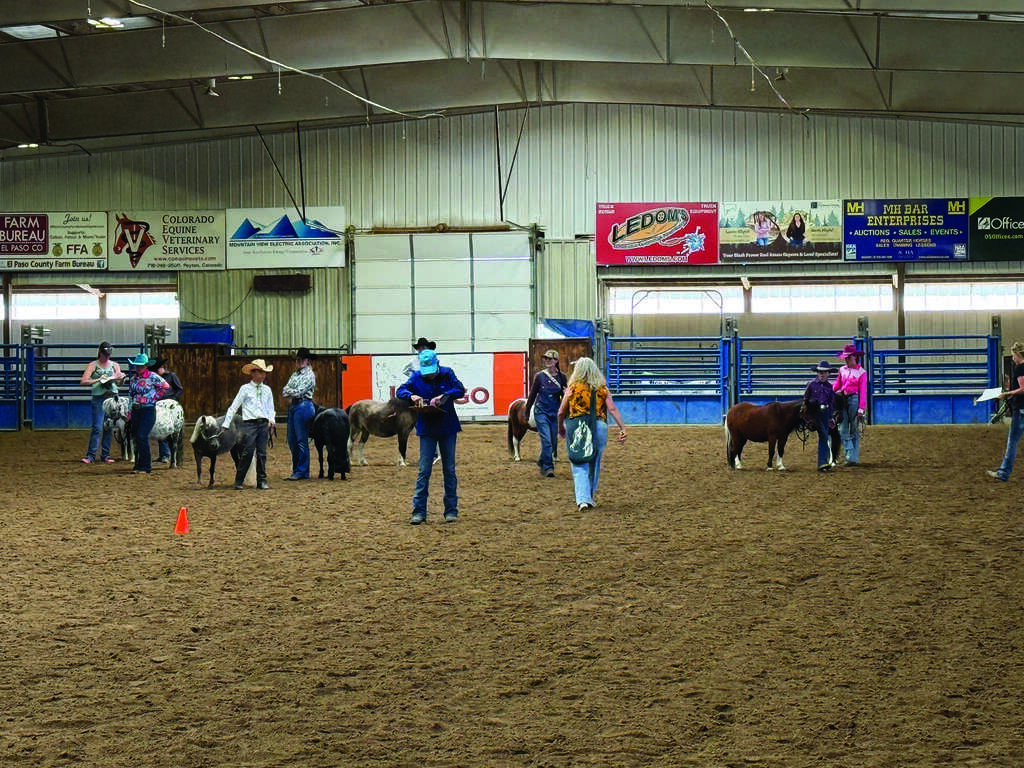 People and children with ponies or miniature horses stand in a dirt-floor indoor arena, participating in a livestock or equestrian competition.