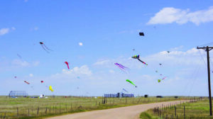 Several colorful kites fly in the blue sky above a rural landscape with a dirt road, grassy fields, and distant structures under scattered clouds.