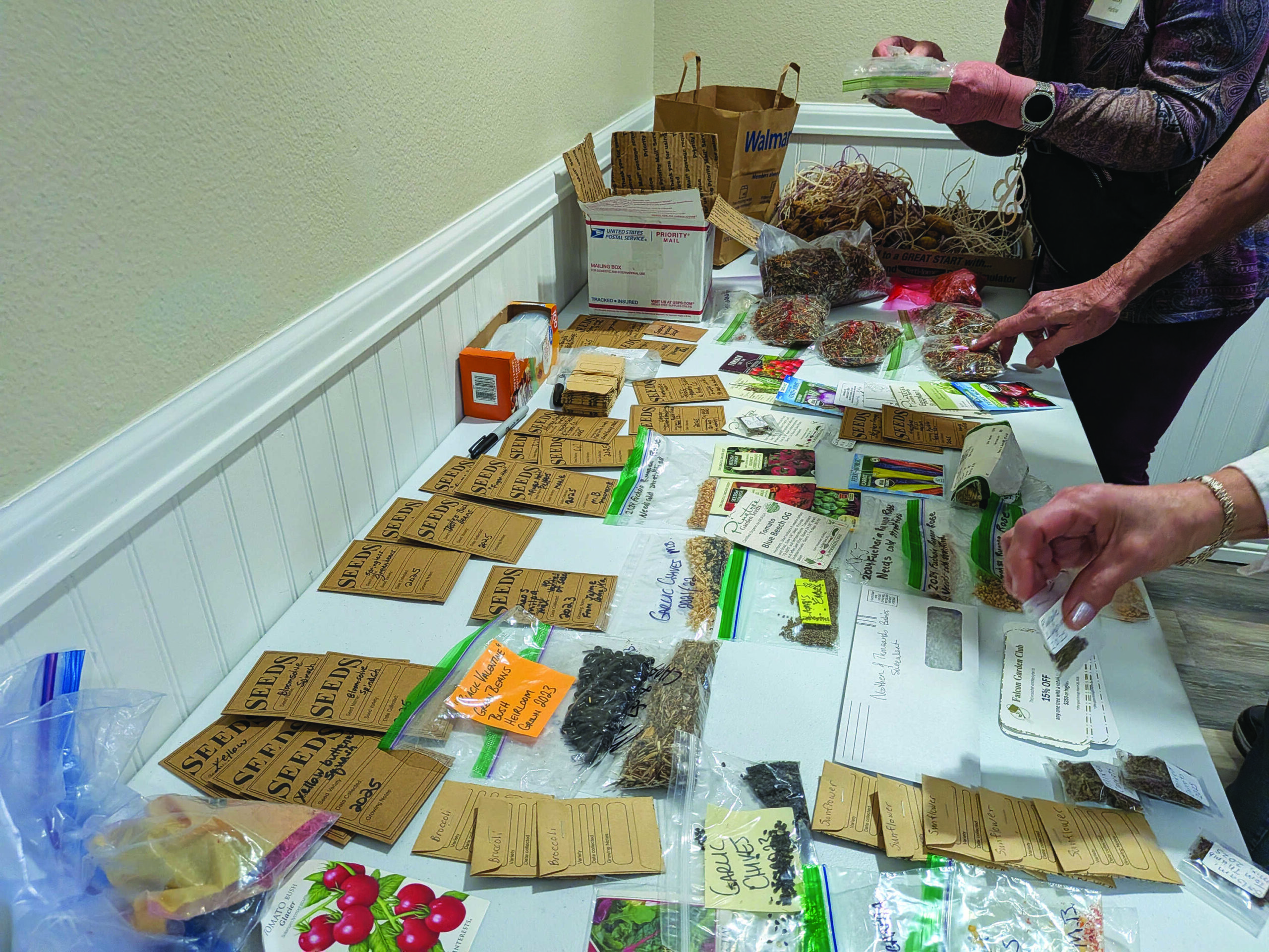 Packets and bags of seeds are spread out on a table, with two people selecting and sorting them. Boxes and other gardening materials are also present.