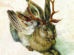 Watercolor painting of a mythical creature resembling a rabbit with deer antlers and bird wings.